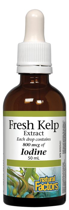 Natural Factors Kelp Extract 50ml. Supports Normal Healthy Thyroid Function