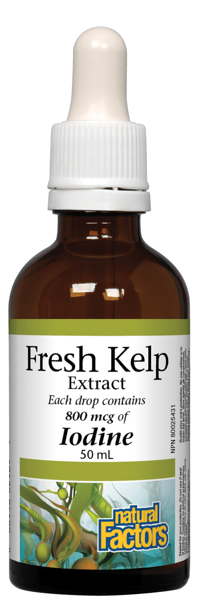 Natural Factors Kelp Extract 50ml. Supports Normal Healthy Thyroid Function