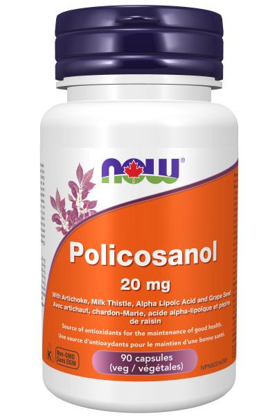 Now Policosanol 10 mg 90 Capsules | YourGoodHealth