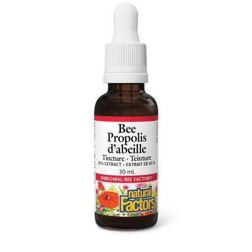 Natural Factors Bee Propolis Tincture | YourGoodHealth