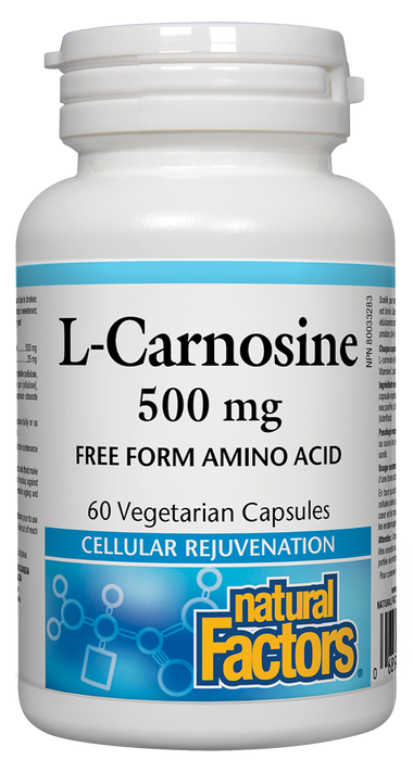 Natural Factors L-Carnosine 500 mg 60 capsules. For Memory and Muscle Function