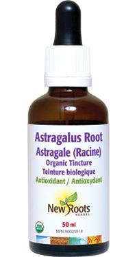 New Roots Astragalus Root Tincture 50 ml | YourGoodHealth