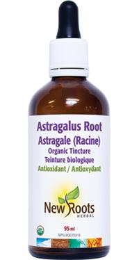 New Roots Astragalus Root 95 ml | YourGoodHealth