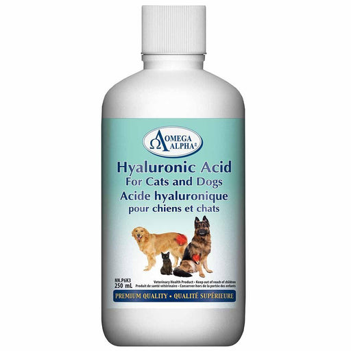 Omega Alpha Hylarunic Acid 250 ml | YourGoodHealth