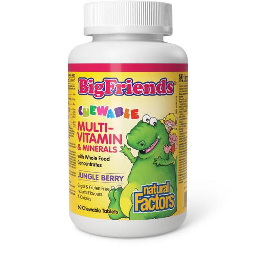 Natural Factors Big Friends Kids Multi | YourGoodHealth