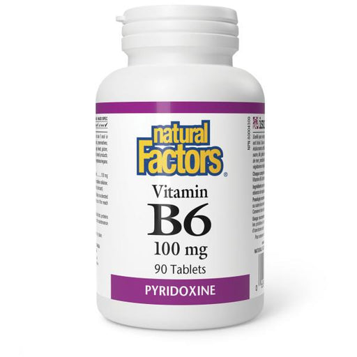 Natural Factors B6 100mg 90 tablets | YourGoodHealth
