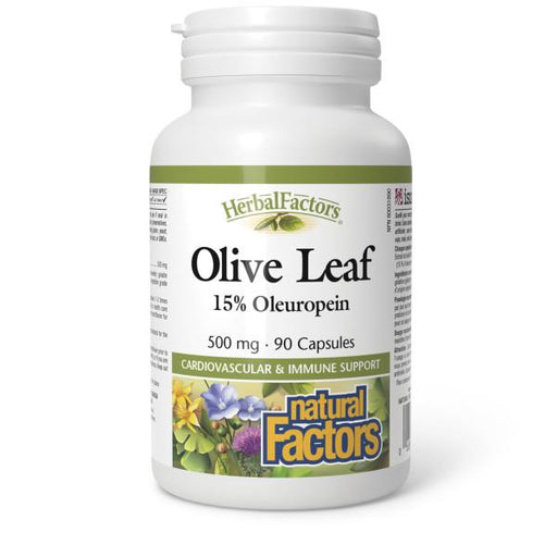 Natural Factors Olive Leaf | YourGoodHealth