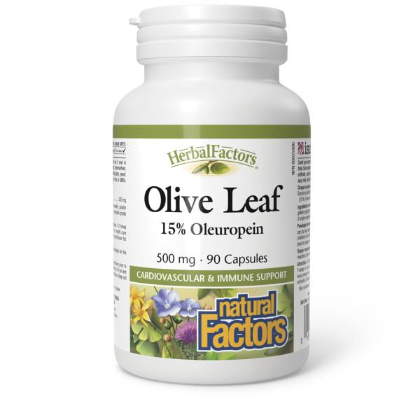Natural Factors Olive Leaf | YourGoodHealth