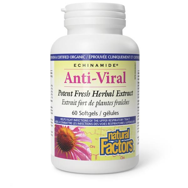 Natural Factors ECHINAMIDE Anti-Viral 60 capsules | YourGoodHealth